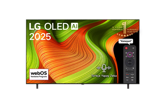 LG OLEDB56 65 inç